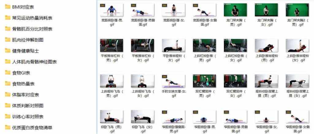 图片[1]-【赛普健身专业视频】价值22800元-心动之光
